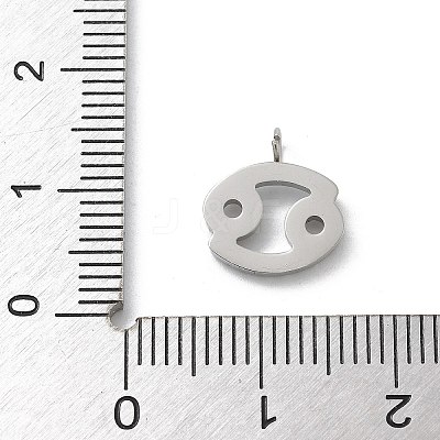 304 Stainless Steel Micro Pave Cubic Zirconia Charms STAS-Z107-09P-04-1