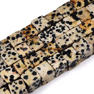 Natural Dalmatian Jasper Beads Strands G-T139-8x8-17A-1