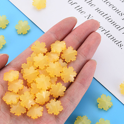 Imitation Jelly Acrylic Beads LS-MACR-S373-92-E07-1
