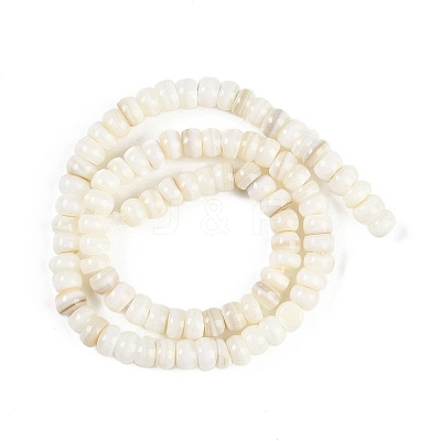 Natural Freshwater Shell Beads Strands BSHE-H109-07-1