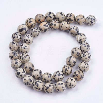Natural Dalmatian Jasper Stone Bead Strands X-G-R193-14-10mm-1