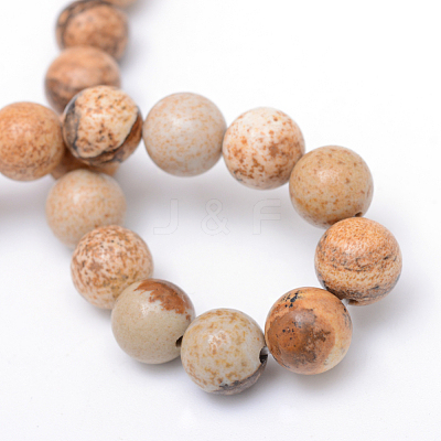 Round Natural Picture Jasper Bead Strands G-R345-8mm-19-1