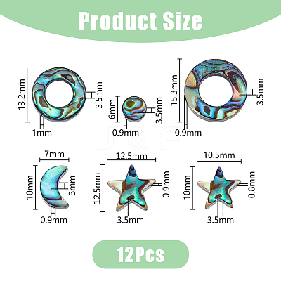 12Pcs 6 Styles Natural Abalone Shell/Paua Shell Beads SSHEL-DC0001-01-1