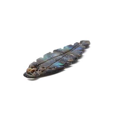 Natural Paua Shell Pendants SSHEL-WH0003-02-1