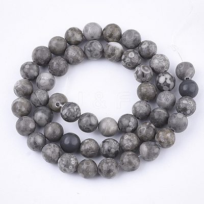 Natural Maifanite/Maifan Stone Beads Strands X-G-Q462-8mm-21-1