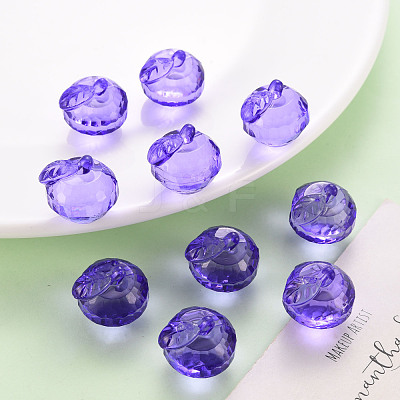 Transparent Acrylic Pendants TACR-T024-05B-936-1