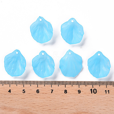 Transparent Frosted Acrylic Pendants MACR-S371-01A-755-1