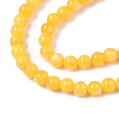 Natural Freshwater Shell Beads Strands BSHE-T009A-01I-1