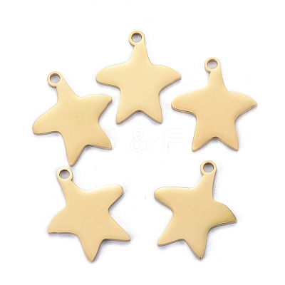 304 Stainless Steel Pendants STAS-I140-13G-1
