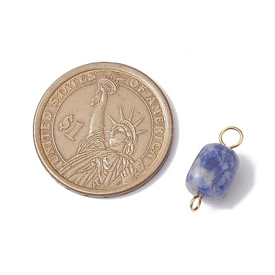 Natural Mixed Gemstone Cuboid Connector Charms PALLOY-JF02788-01-1