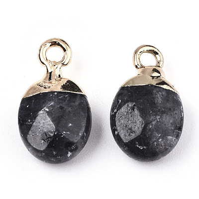 Natural Larvikite Charms G-N326-58A-1