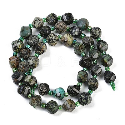 Natural African Turquoise(Jasper) Beads Strands G-L579-05A-1