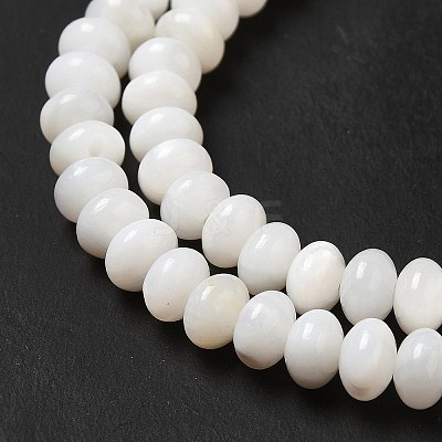 Natural Freshwater Shell Beads Strands BSHE-E026-15B-02-1