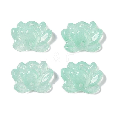 Baking Paint Glass Beads GLAA-S202-13G-1
