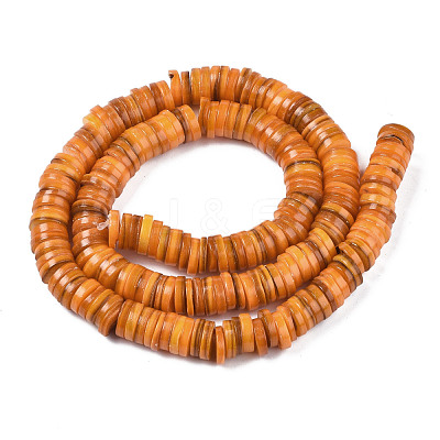Natural Freshwater Shell Beads Strands X-BSHE-I016A-01G-1