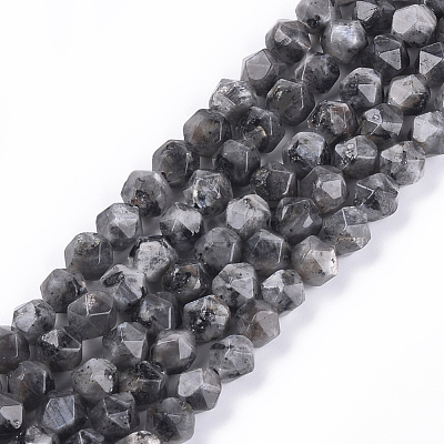 Natural Larvikite Beads Strands G-S348-03-1