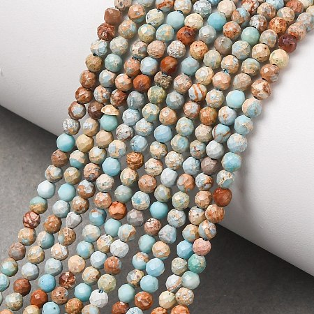 Natural Imperial Jasper Beads Strands G-L578-A14-1