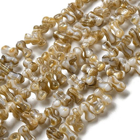 Natural Freshwater Shell Beads Strands SHEL-C005-03-1