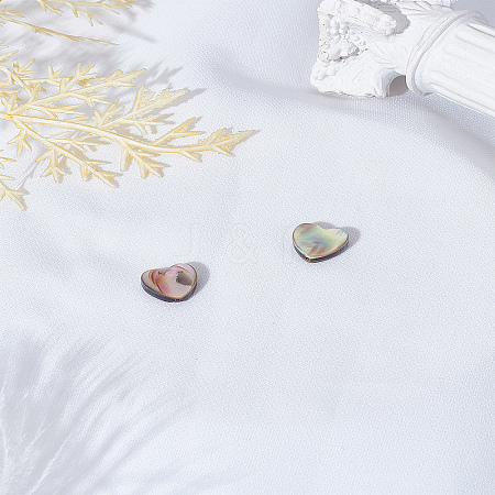 2Pcs Natural Abalone Shell/Paua Shell Beads SSHEL-LP0001-02-1