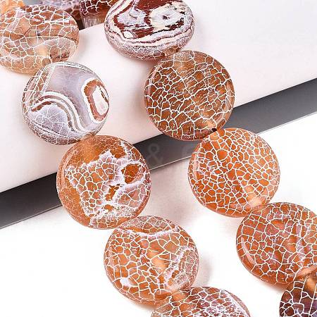Natural Weathered Agate Beads Strands G-Q606-42D-1