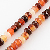 Dyed Natural Carnelian Stone Bead Strands G-R186-08-1