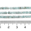 Natural Apatit Beads Strands G-H042-B12-01A-5