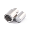 Tarnish Resistant 304 Stainless Steel Magnetic Clasps with Glue-in Ends STAS-F276-04P-3
