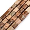 Natural Picture Jasper Beads Strands G-Q606-01A-01-2