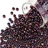 TOHO Round Seed Beads X-SEED-TR08-0503-1