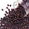 TOHO 8/0 Round Beads X-SEED-TR08-0503-1