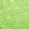 Baking Paint Glass Seed Beads SEED-S042-05B-65-3