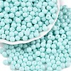 Opaque Baking Paint Glass Beads DGLA-T004-02O-3