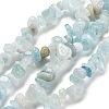 Natural Aquamarine Chip Beads Strands G-L154-19-2