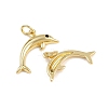 Brass Micro Pave Cubic Zirconia Pendants KK-A269-04C-G-2