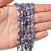 Natural Blue Spot Jasper Beads Strands G-F817-A12-01-2