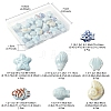 Glazed Porcelain Beads Strands PORC-FS0001-13-4