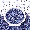 Picasso Glass Seed Beads GL-N001-01B-03-2