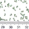 11/0 Grade A Glass Seed Beads SEED-S030-1217-4