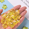 Transparent Acrylic Beads TACR-S154-32B-85-5