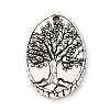 Tibetan Style Alloy Pendants FIND-A053-05C-AS-1