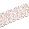 Natural Cultured Freshwater Pearl Beads Strands PEAR-N012-04M-5