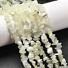 Natural New Jade Beads Strands G-P332-17-1