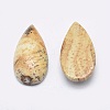 Natural Picture Jasper Cabochons G-P384-M04-2