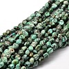 Natural African Turquoise(Jasper) Nuggets Beads Strands X-G-J335-43-1