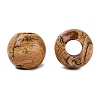 Natural Picture Jasper Beads G-Q608-05F-2