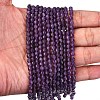 Natural Lepidolite/Purple Mica Stone Beads Strands G-A260-A04-01-3