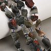 Raw Rough Natural African Bloodstone Beads Strands GG-CBA0B77-A09-01-1