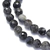 Natural Iolite Beads Strands G-K310-A15-6mm-3