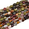 Natural Alashan Agate Beads Strands LS-G-Q060-E19-02-2
