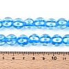 Handmade Lampwork Beads Strands LAMP-N028-20B-4